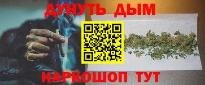 крисы Апшеронск