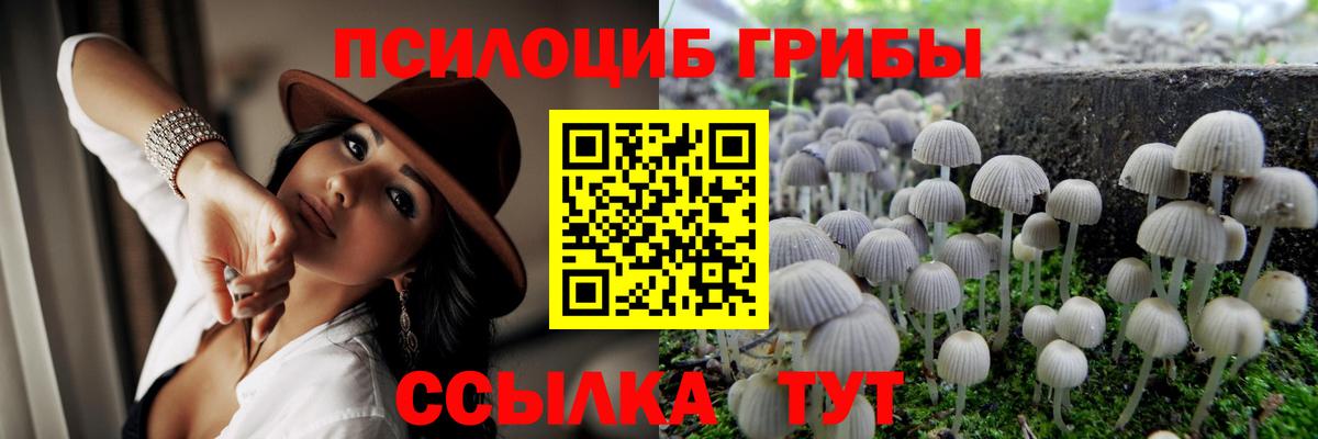 Псилоцибиновые грибы Psilocybine cubensis Артёмовский