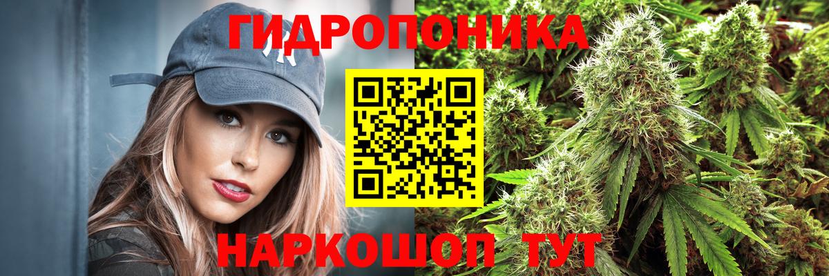 Артёмовский  Каннабис индика  Вход с VPN  Каннабис планчик 